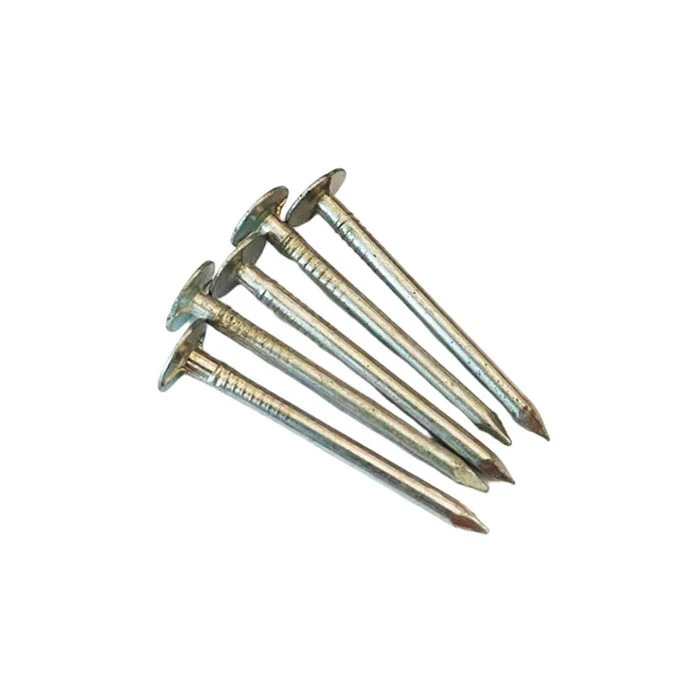 Flat Head Nail suppliers Flat Head Nail suppliers